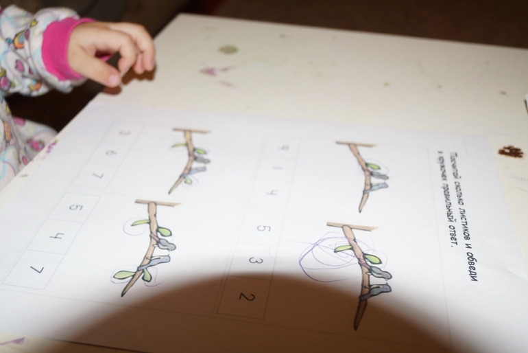 2-й день ФМ "Птицы"