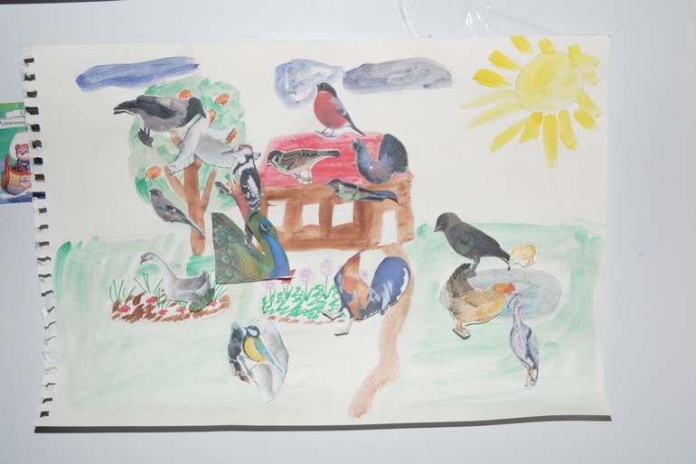 5-й день ФМ "Птицы"