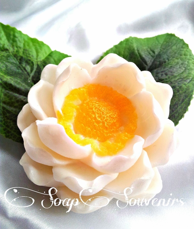 Формы мечты!)) Весна,цветы!