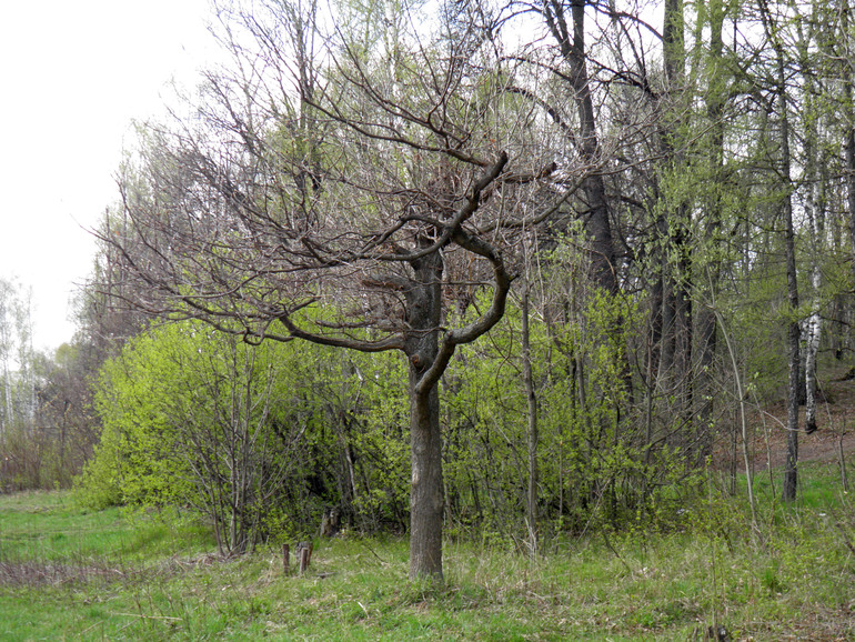 Контрольное задание № 24. Корректирование снимка с помощью нейтрального цвета, а так же черной и белой точки