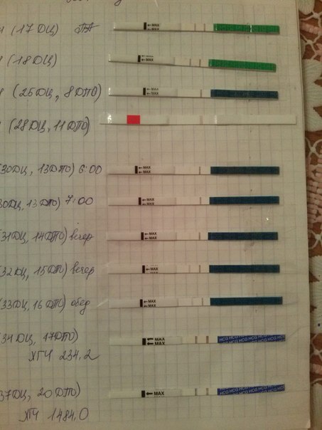 Официально Беременна!