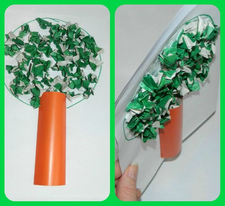 ТН Дерево в разное время года.