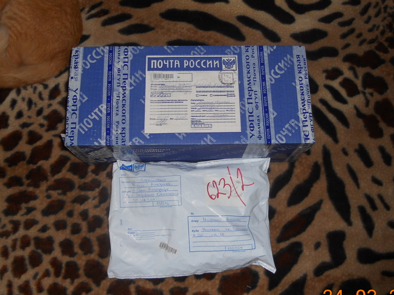 А к нам радость пришла)))