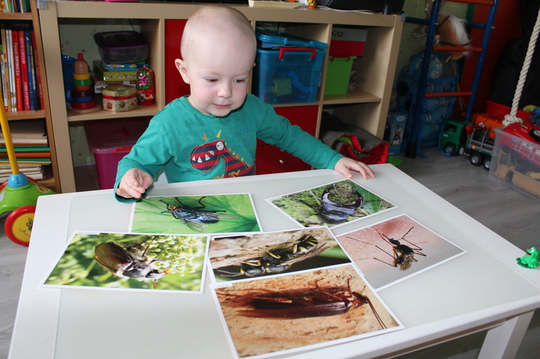 ФМ "Весенний переполох"