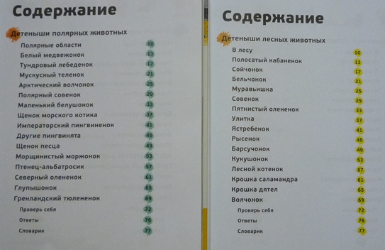 Янины занятия + чтение ( 25 июня) 4,3 года