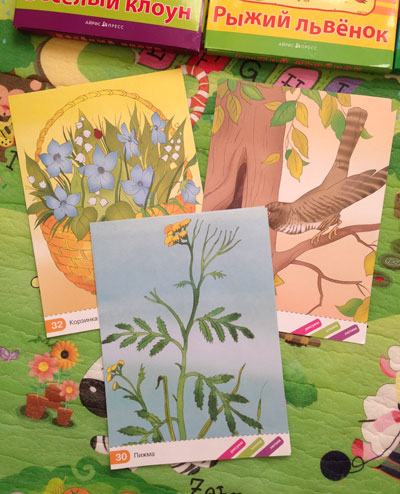 Отличные наборы заданий для творческих занятий