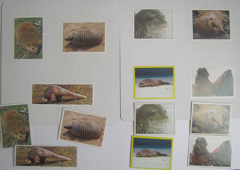 Пробное занятие по методу Шичиды