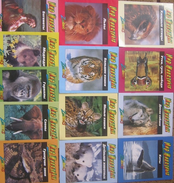 Книги в полтора года