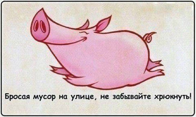 Без комментариев