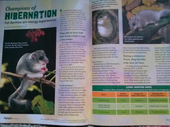 Марина, especially for you