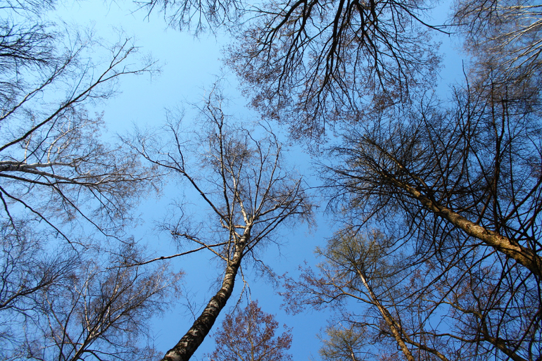 Вот такое небо