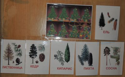 ТН № 15 Новый год. 1 г. 5 мес.