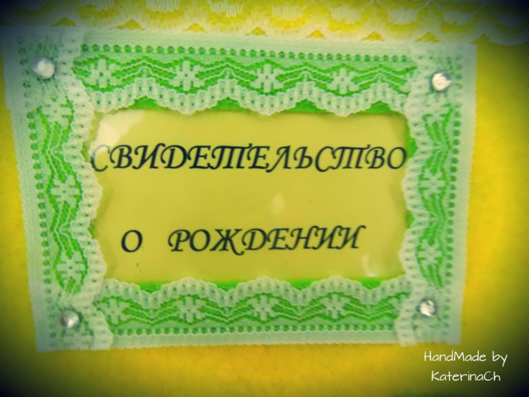 Обложка на Свидетельство о рождении из фетра №3