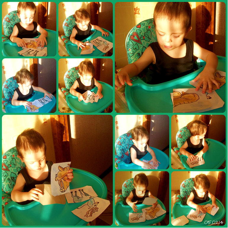 ТН Арктика и Антарктика. День 3.