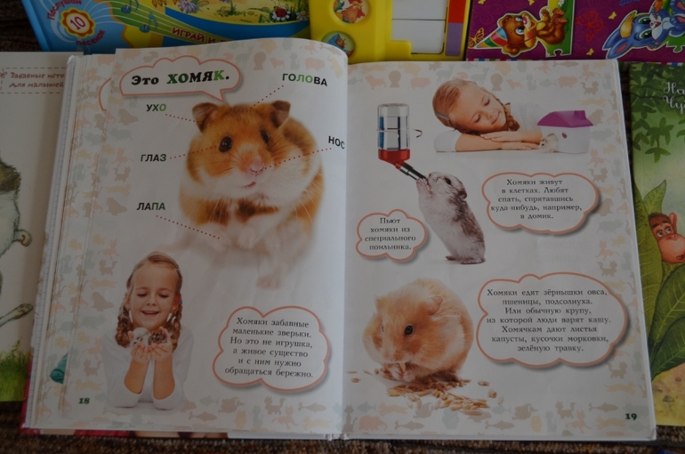 наши новые книги