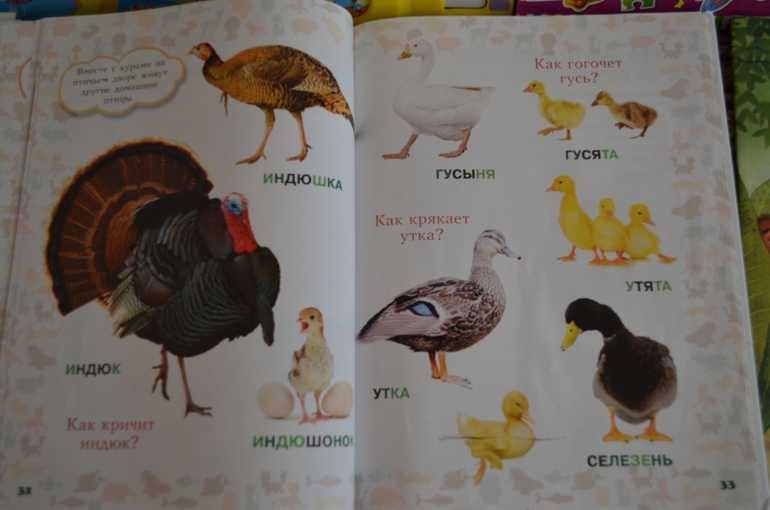 наши новые книги