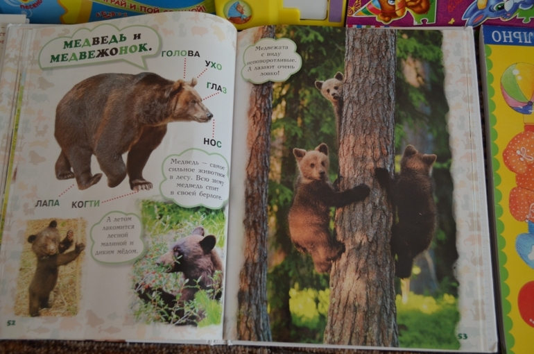 наши новые книги