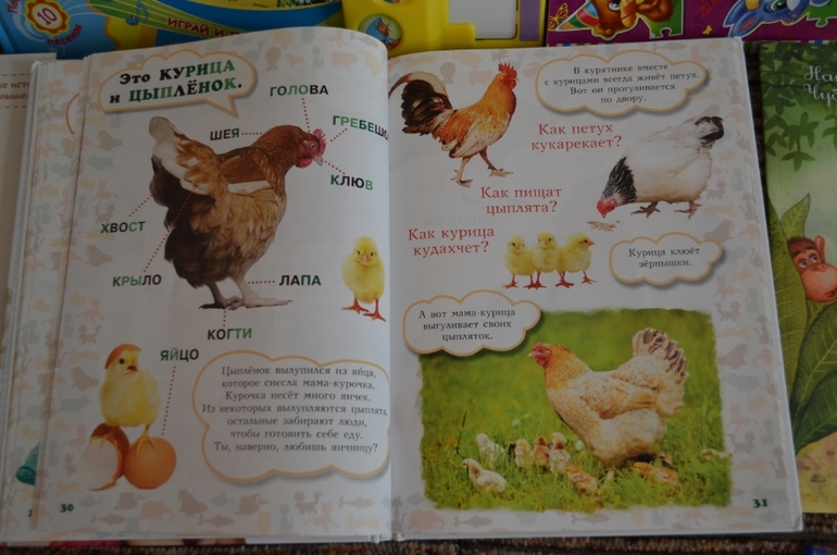 наши новые книги