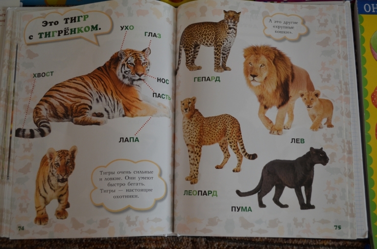 наши новые книги