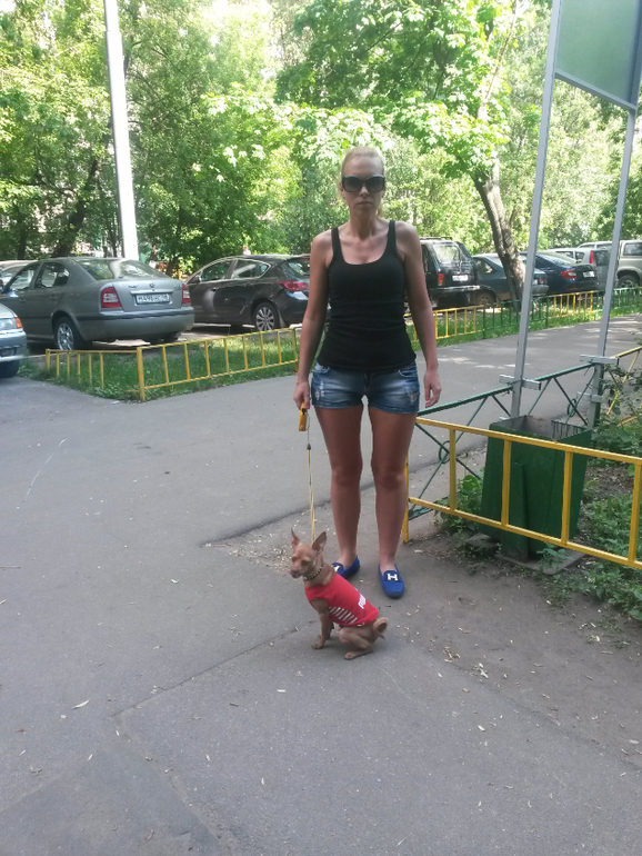 не много лета