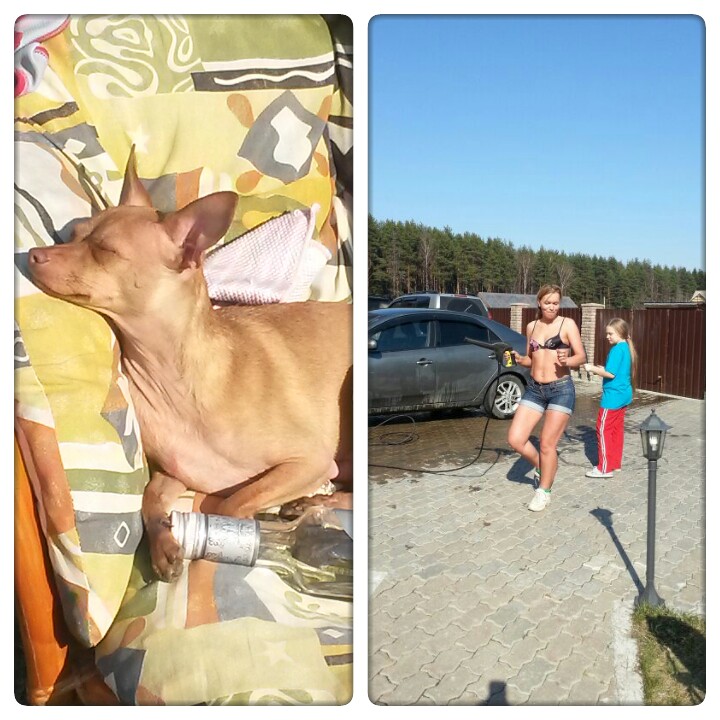 Вот они теплые деньки