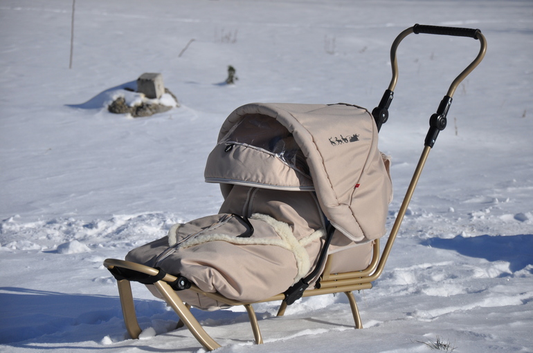 Давно не писала...Я учусь на фотографа, продолжаю делать коробочки "Мамины сокровища" и еще для дисков. Ромчик растет, развивается. Несколько дней назад еще был мороз и мы успели пофотографироваться в санках. Вот несколько фото.