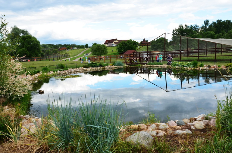 ВОРОБЬИный день :)