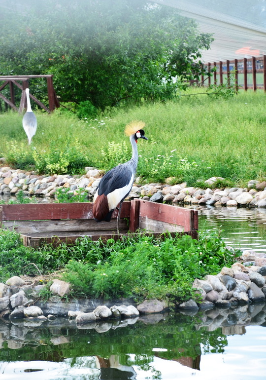 ВОРОБЬИный день :)