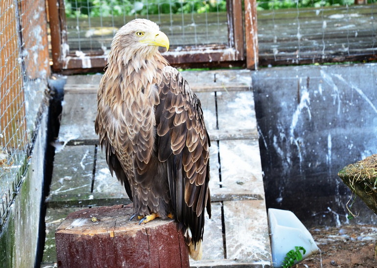 ВОРОБЬИный день :)