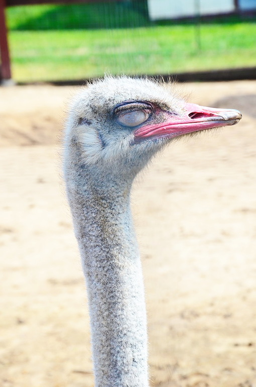 ВОРОБЬИный день :)