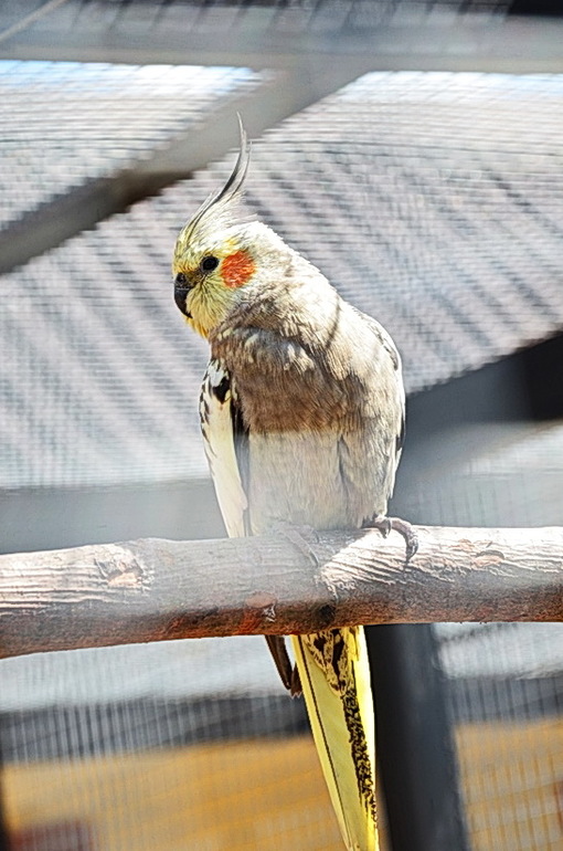 ВОРОБЬИный день :)