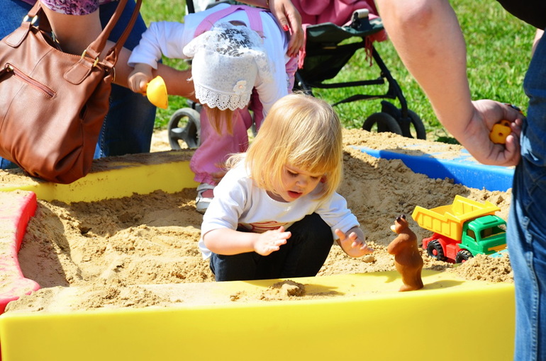 ВОРОБЬИный день :)