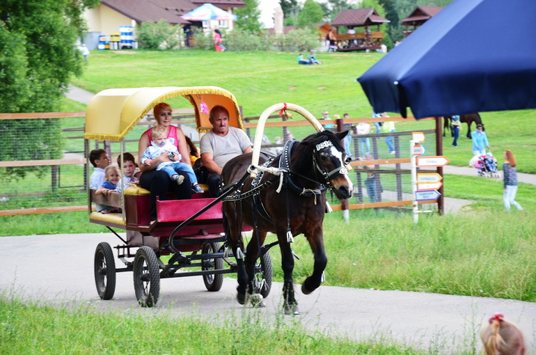 ВОРОБЬИный день :)