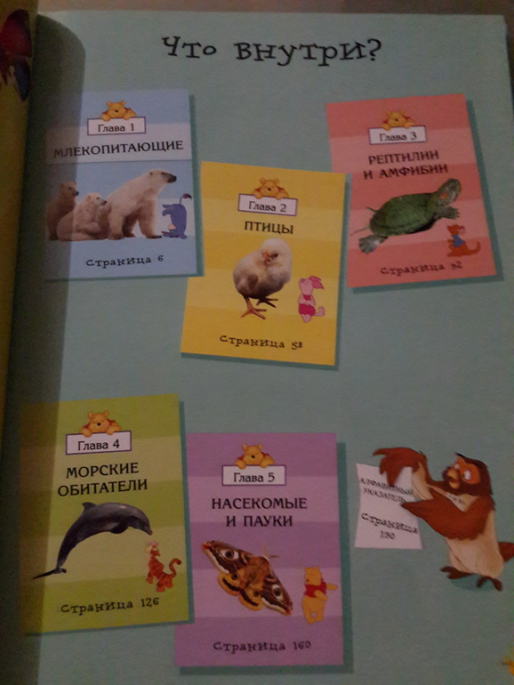 Наши первые энциклопедии