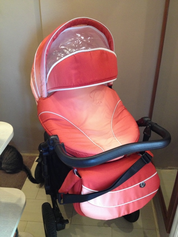 Продаю свою любимицу, красавицу Tutis Zippy Pia цвет Rubin.