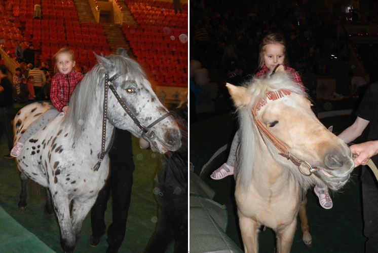 Кострома! Терем Снегурочки. Цирк.