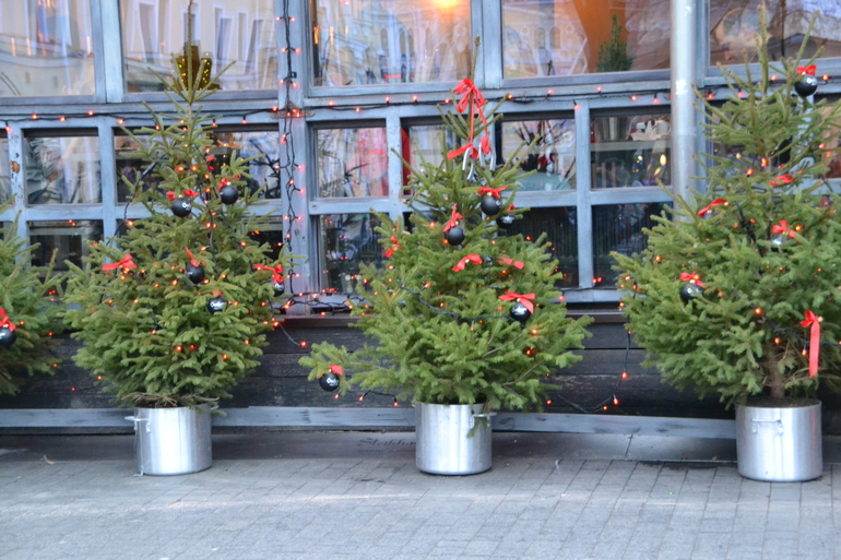 Рождественская Одесса