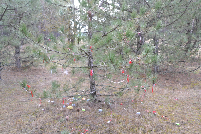 О погоде и природе