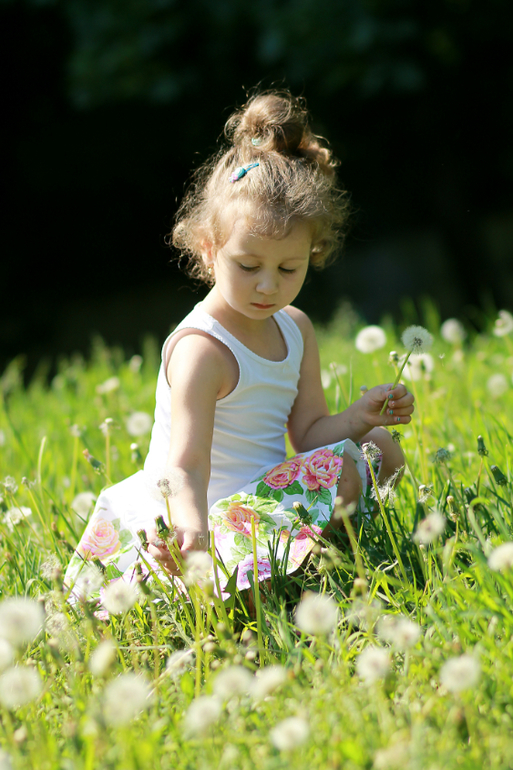 Одуванчиковое Солнышко моё))