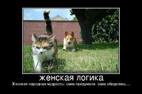 Рассмешили)))