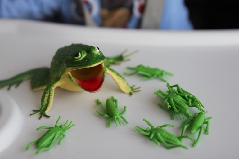 коробочки и лягушки)))