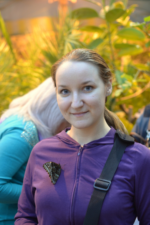 Московский Дом Бабочек