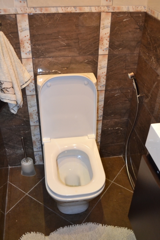 Туалет -моё новоселье!!