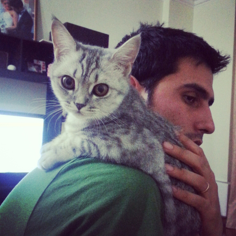 Стерилизовали кошку. СПб