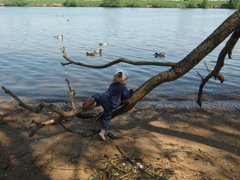 Очередная прогулка