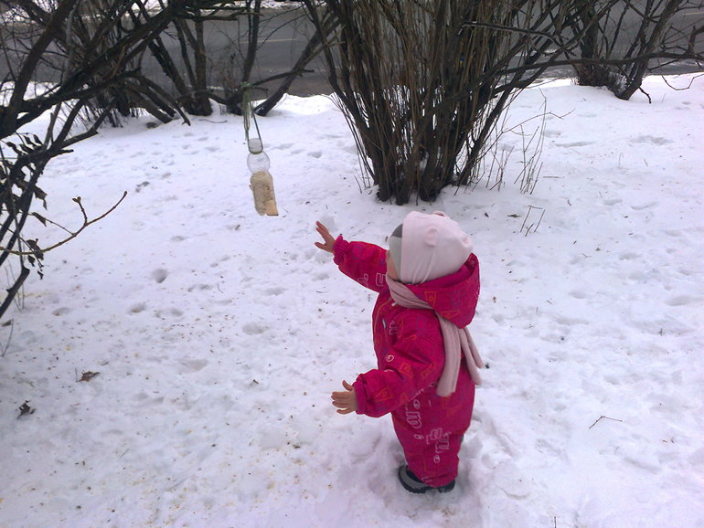 Повесили кормушку