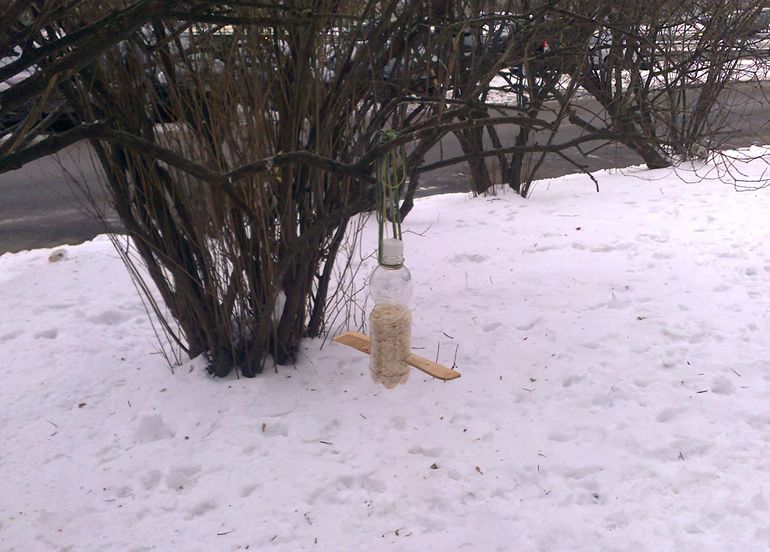 Повесили кормушку