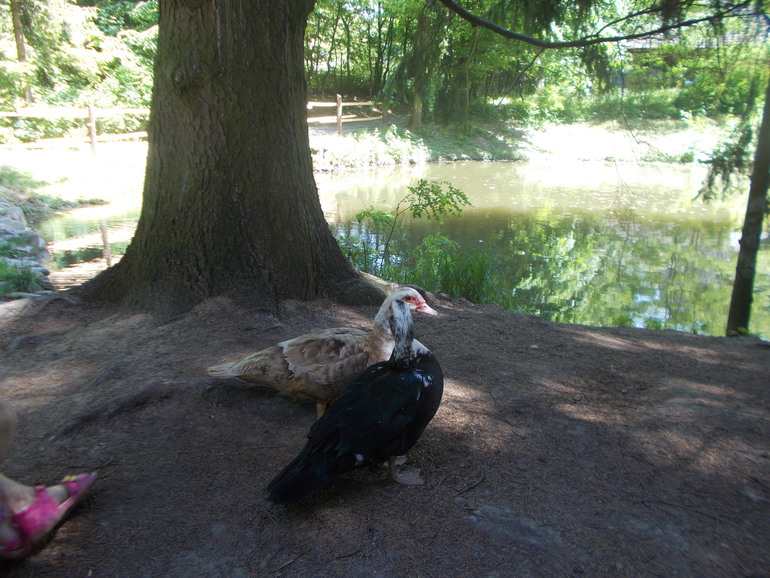 Чудесная ББ встреча)))) 24.05.2014 Шевченковский Гай.