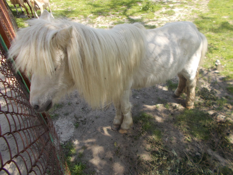 Чудесная ББ встреча)))) 24.05.2014 Шевченковский Гай.