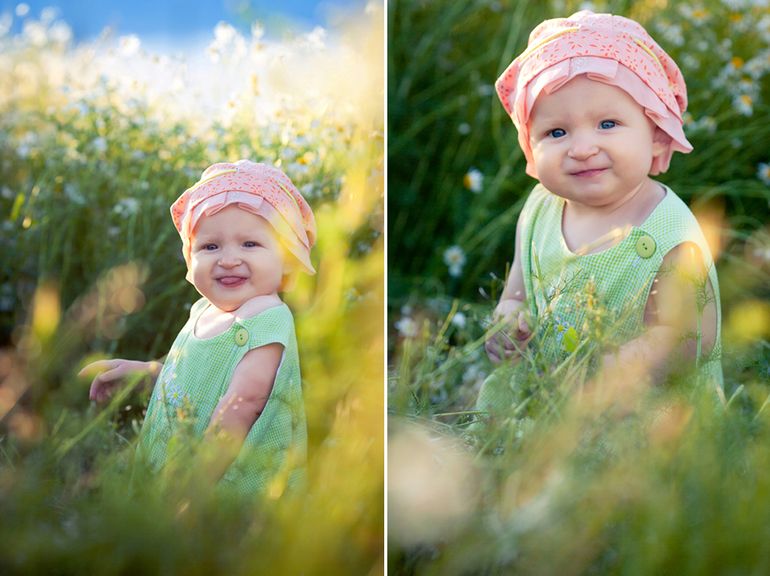 TFP на ромашковом поле